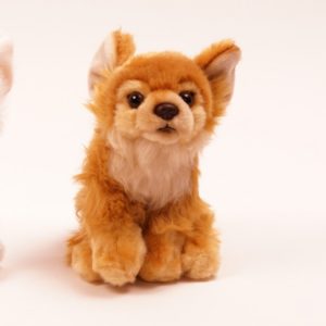 Chihuahua plush animal toy