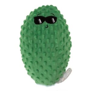 Chill Dill fun soakers